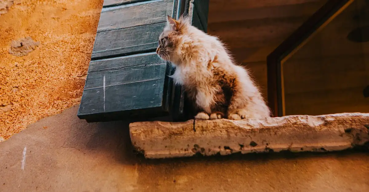 Quelle était la signification de Bastet pour les chats ?