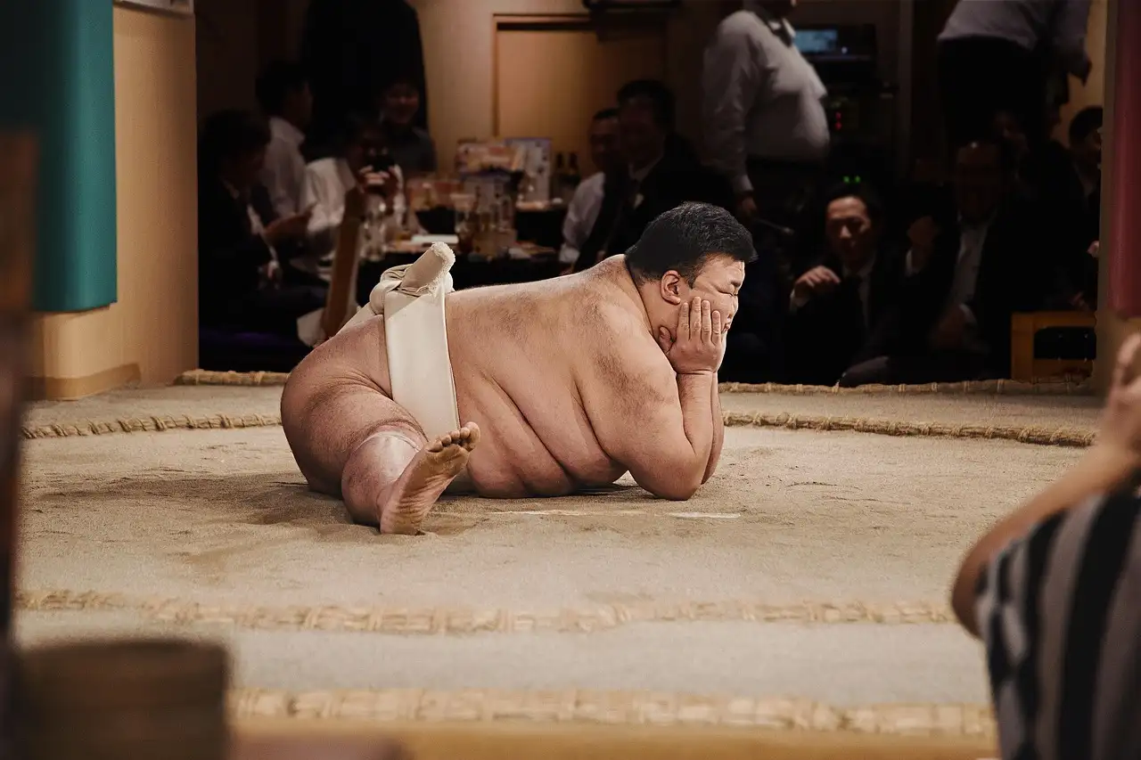 Quelles sont les règles de base du sumo à connaître ?