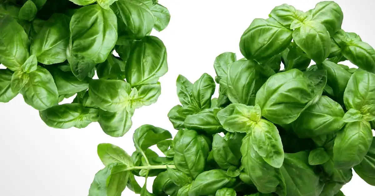 Quels légumes ajouter à des pâtes au pesto pour un délice ?