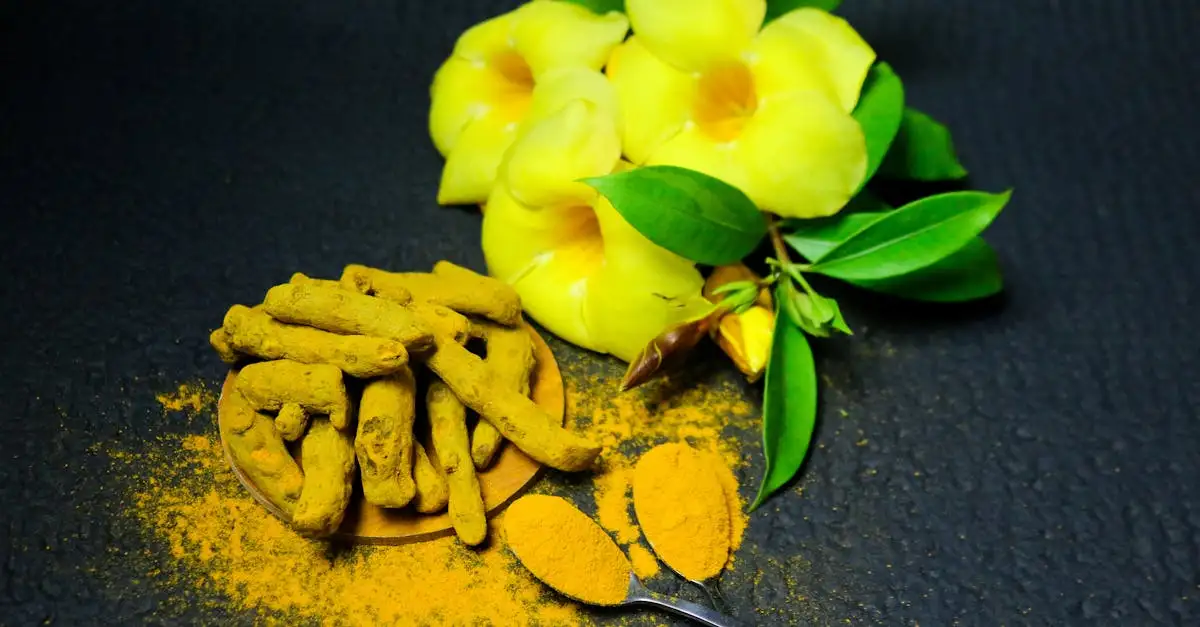 Quels sont les bienfaits du curcuma pour la santé ?