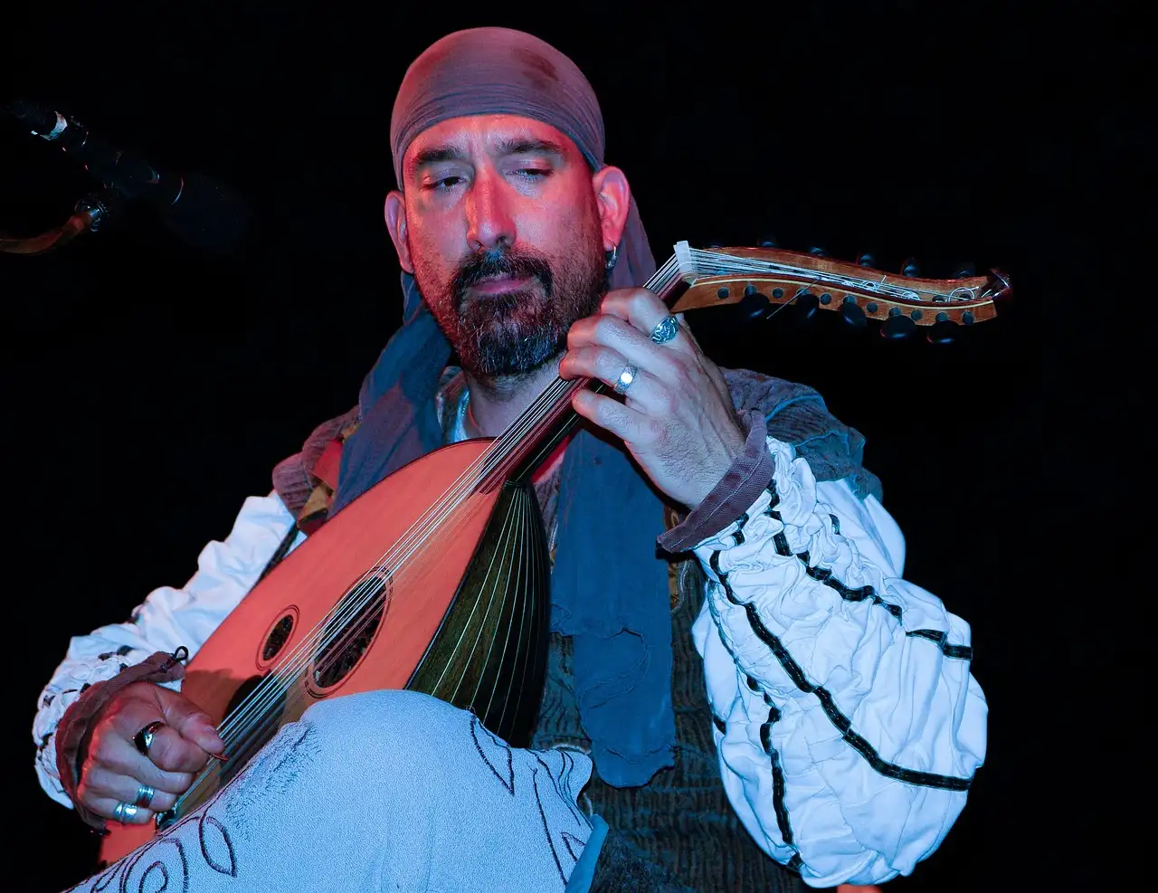 Quels types de troubadours étaient présents au Moyen Âge ?