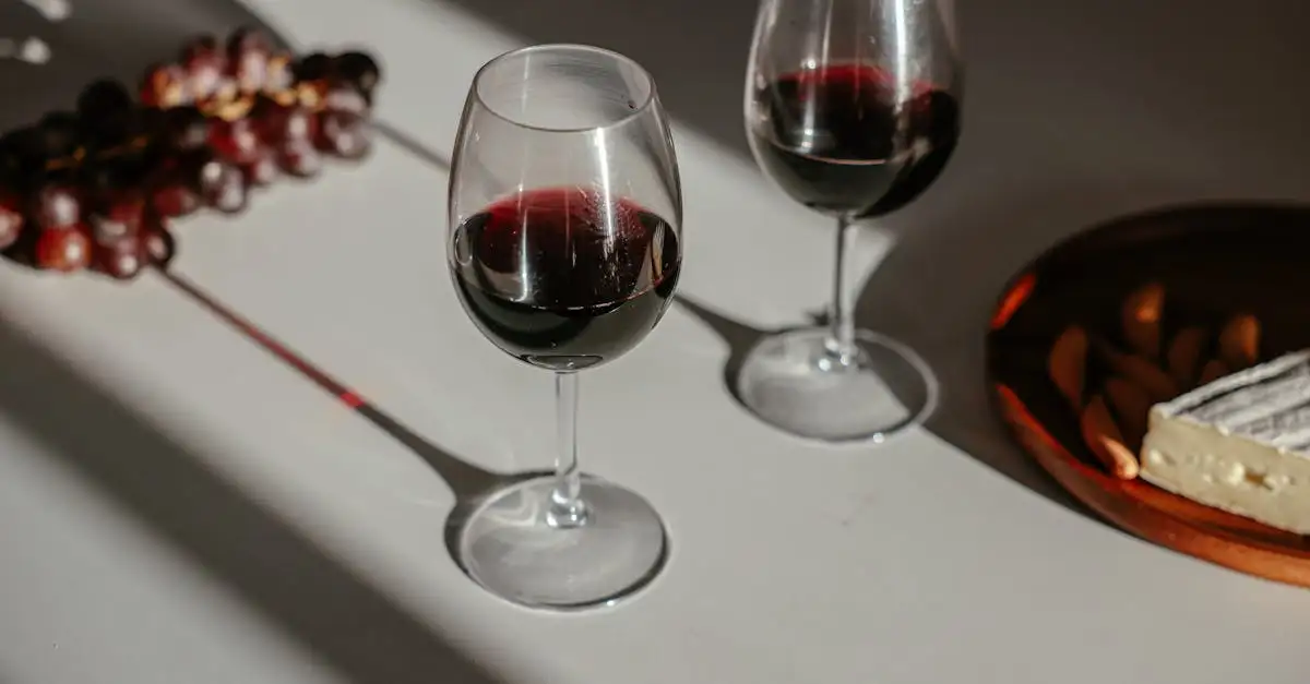 Quel vin choisir pour accompagner la soupe à l'oignon ?