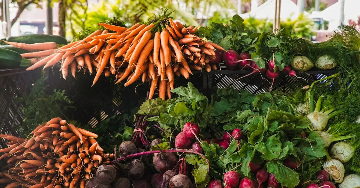Quels légumes planter ensemble au potager ? Découvrez !