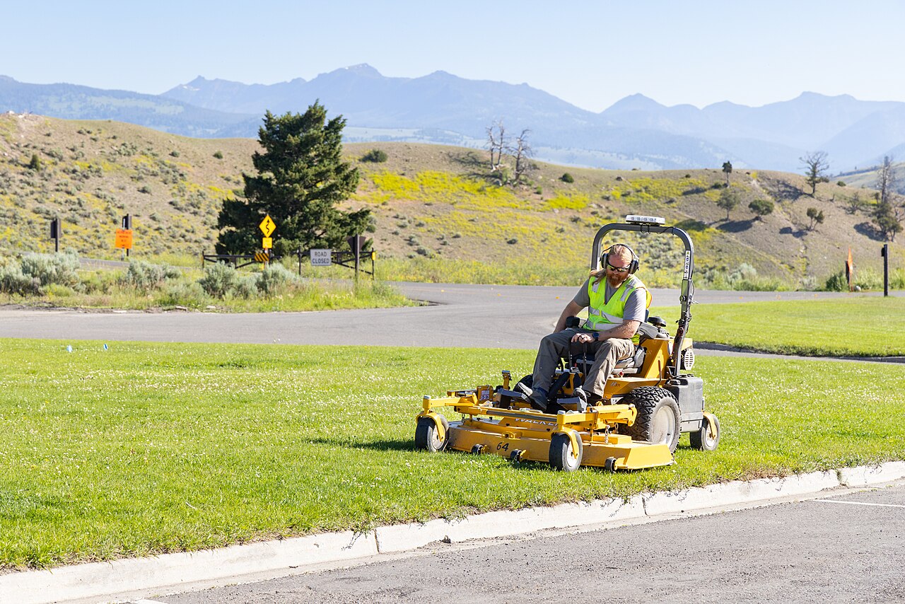 Tondre la pelouse au printemps