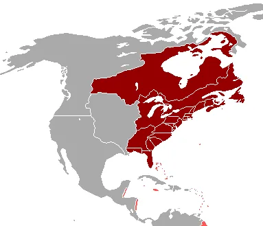 Amérique britannique